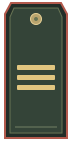 Погон: Сержант