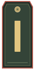 Погон: Старшина