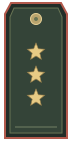 Погон: Старший прапорщик