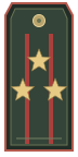 Погон: Полковник