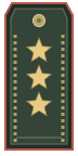 Погон: Генерал-полковник